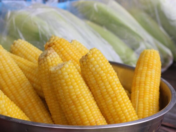 Manfaat Jagung Rebus