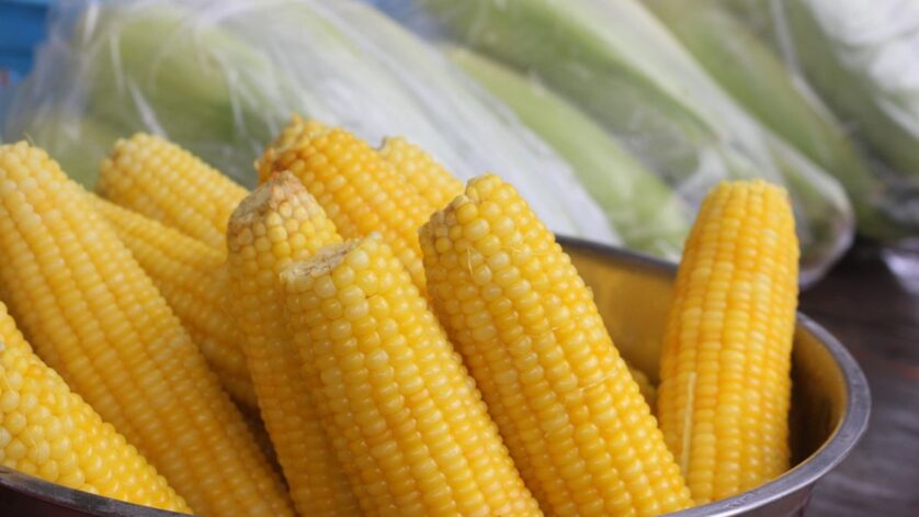 Manfaat Jagung Rebus