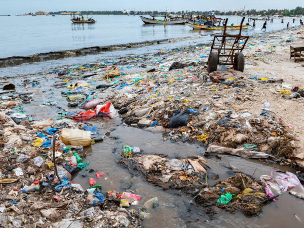 ide usaha minim sampah