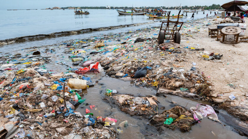 ide usaha minim sampah