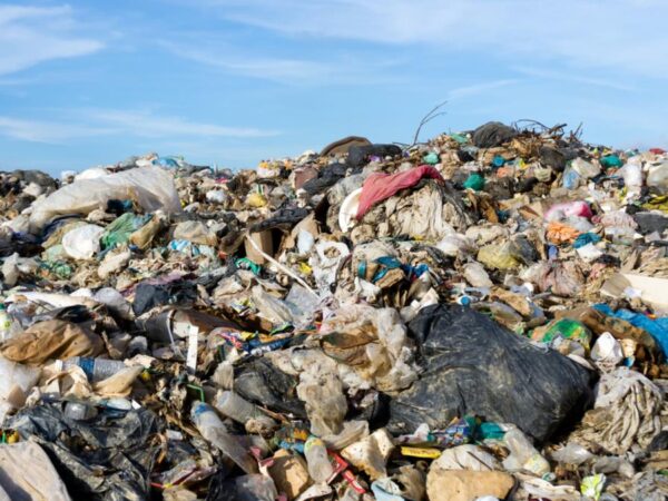Kenapa Usaha Plastik Minim Risiko