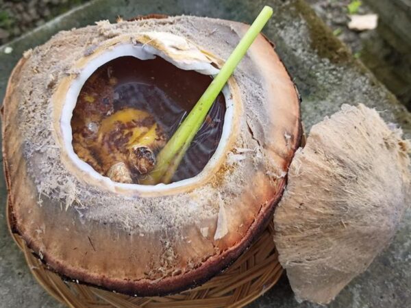 Manfaat kelapa bakar