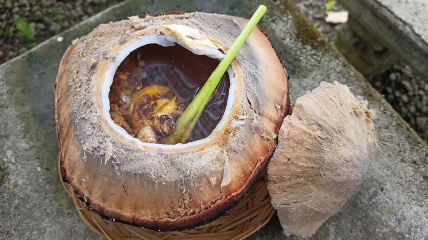 Manfaat kelapa bakar