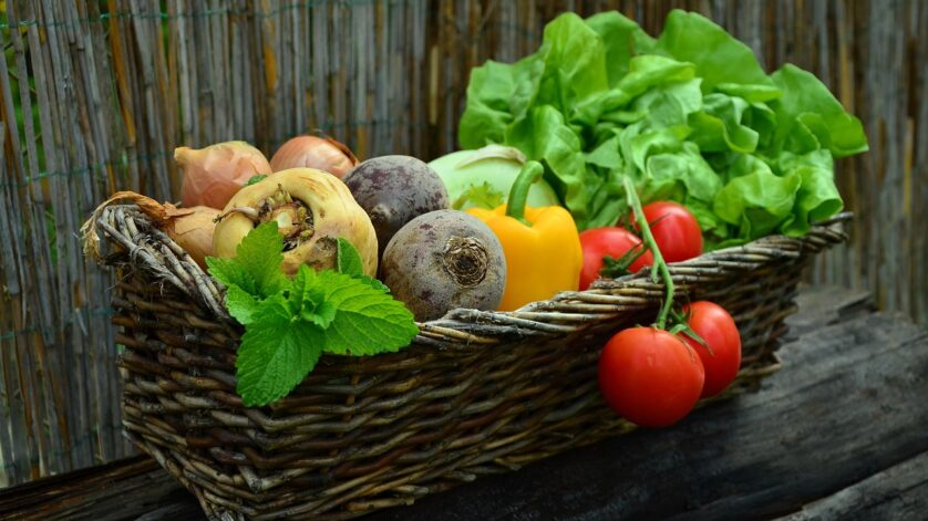Keranjang panen sayur