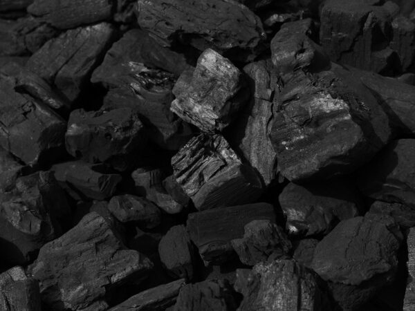 Coconut Shell Charcoal Briquettes for Export