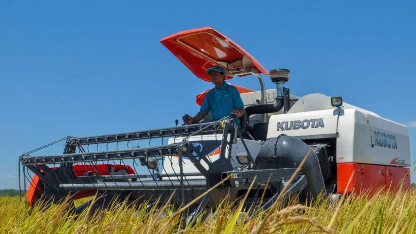 Peluang combine harvester