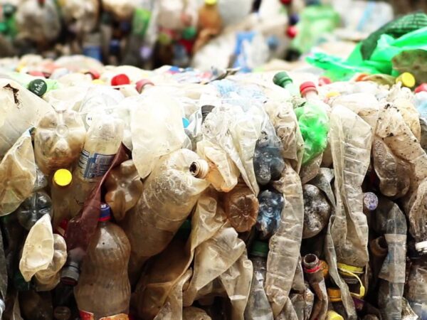 Target Pasar Plastik