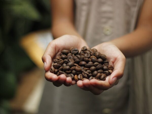Tips Memilih Biji Kopi Segar