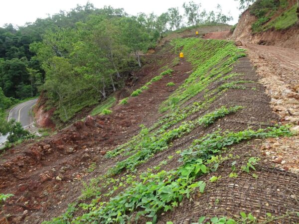Cocomesh Untuk Hutan Lindung