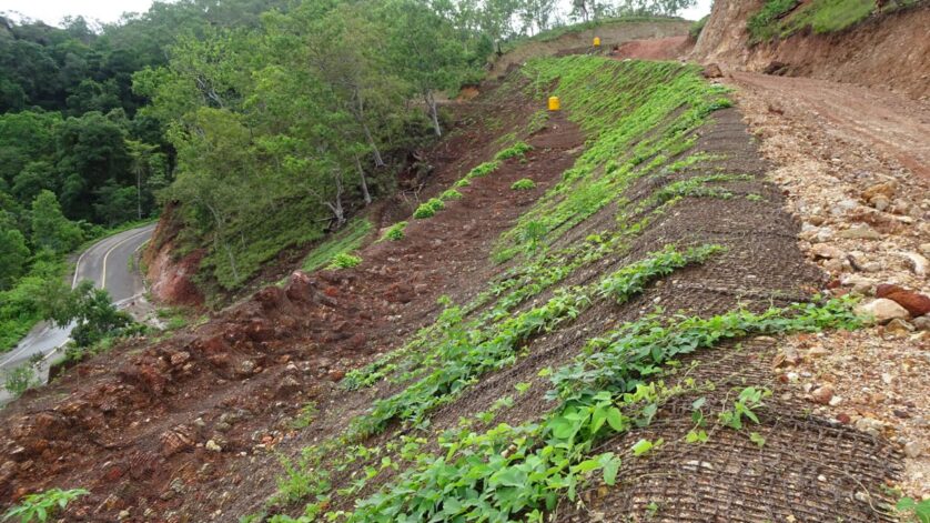 Cocomesh Untuk Hutan Lindung