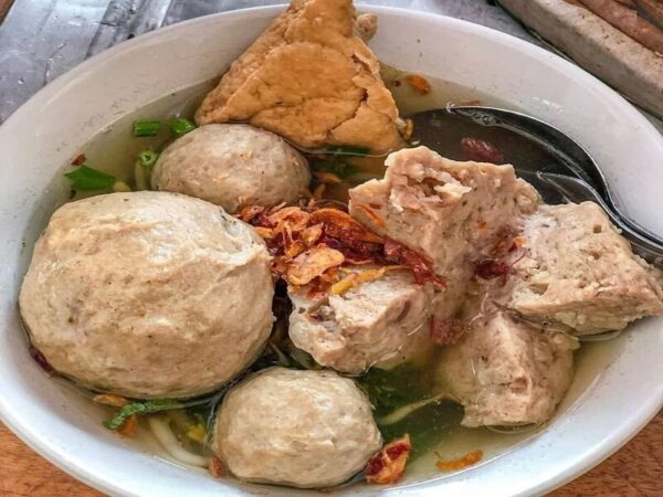 mesin pengolah daging untuk bakso