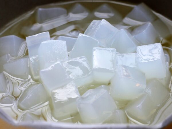 Usaha Nata De Coco Rumahan