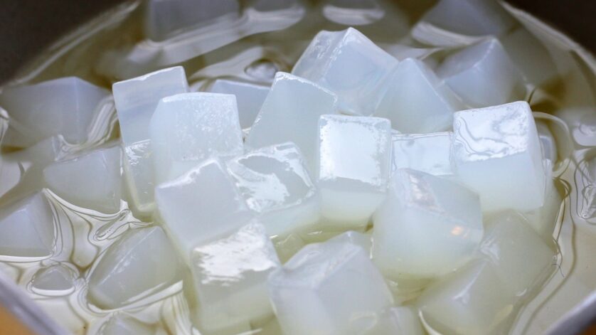 Usaha Nata De Coco Rumahan