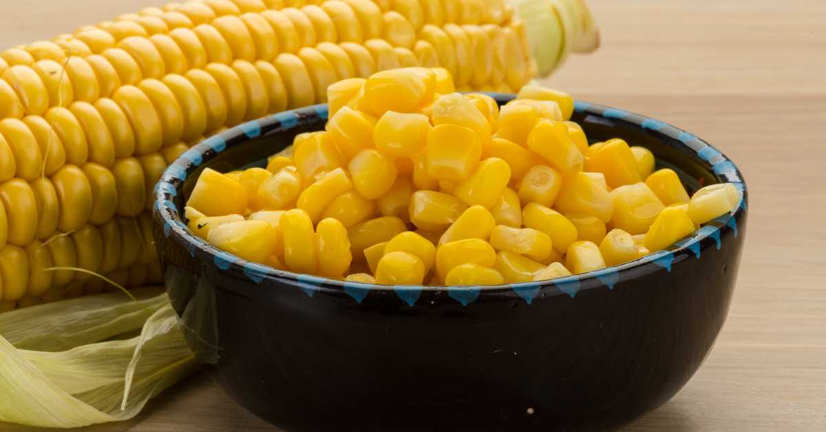 Solusi Olahan Janggel Jagung