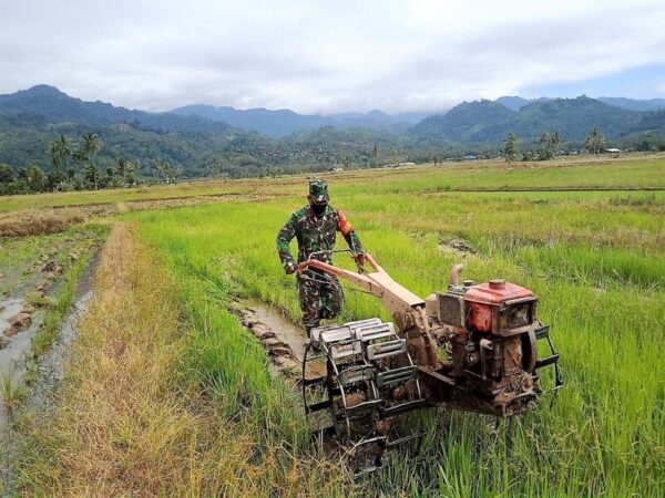 Cara menggunakan hand traktor