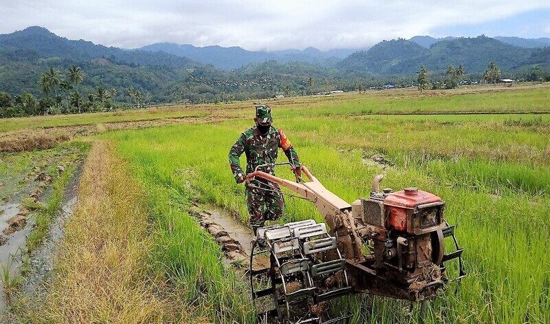 Cara menggunakan hand traktor